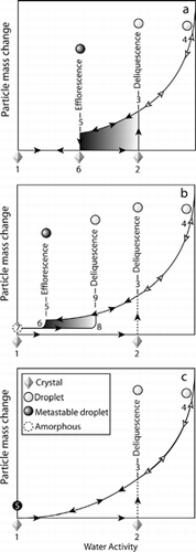 FIG. 11 A schematic of hydration and dehydration cycles for single component hygroscopic substances in small particle form. See text for detailed description of the three depicted cases.