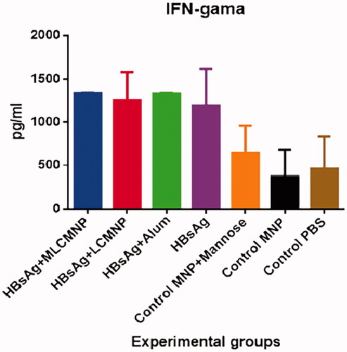 Figure 12. Results of IFN-γ cytokine assay. Mice were immunized two times with two weeks’ interval with MLCMNP-HBsAg, LCMNP-HBsAg formulation, commercial vaccine and HBs Ag alone along with proper control groups. Two weeks after last immunization of experimental mice, IFN-γ cytokine level was assessed using commercial quantitative ELISA kit. The results presented as mean ± SD of ten mice per group. Immunization with MLCMNP-HBsAg, LCMNP-HBsAg formulation, commercial vaccine and HBs Ag alone significantly increased IFN-γ cytokine versus control groups.