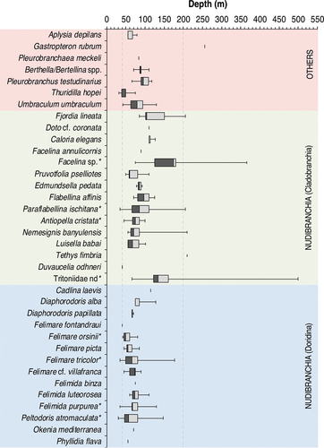 Figure 3. Bathymetric box plots of the 36 heterobranch species observed in this study. Dash lines indicate the limits of the mesophotic zone (40–200 m). * refers to the most commonly recorded species.