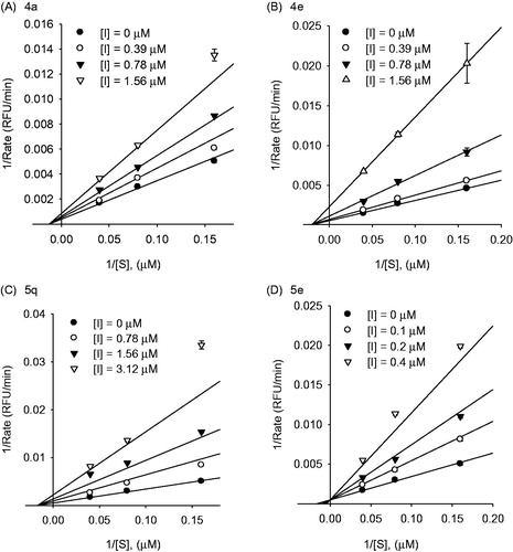 Figure 1. Graphical determination of the inhibition type for compounds 4a, 4e, 5q, and 5e. Lineweaver–Burk (A–D) plots for the inhibitory activity of compounds 4a, 4e, 5q, and 5e, respectively, against S. pneumoniae Nan A hydrolysis activity in the presence of different substrate concentrations.