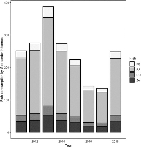Figure 4. Average yearly fish consumption by Goosander Mergus merganser wintering in the Baltic coastal lagoons and the estuaries of the two largest rivers in Poland (Vistula and Odra) in 2011–2018, broken down by fish species. PE – Perch Perca fluviatilis, RF – Ruffe Gymnocephalus cernua, RO – Roach Rutilus rutilus, ZA – Zander Sander lucioperca.