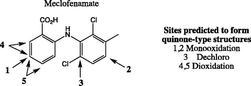 Figure 15. Predicted sites of oxidations of meclofenamate to form reactive metabolites.