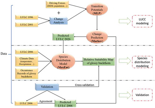 Figure 2. Flow chart of the study framework for LUCC and species distribution modelling.