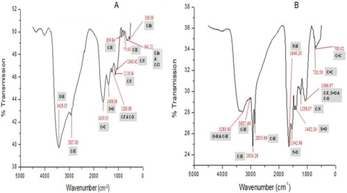 Figure 3 (A) Infrared spectrum of Foeniculum vulgare Mill. seed extract prior to its interaction with sodium selenite solution. (B) Infrared spectrum of selenium nanoparticles reaction mixture synthesized after interaction of Foeniculum vulgare Mill. seed extract with sodium selenite solution.