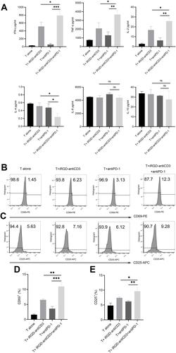 Figure 2 The addition of PD-1 blockade restored activation of cord blood-derived T cells. (A) The co-culture supernatants were harvested and used for Th1/Th2 cytokines measurements using the BD CBA human Th1/Th2 flex set. Effector T cells and target MKN45 cells were incubated at an E:T ratio of 40:1 for 24 hr. All values were shown as mean ± the SEM of triplicate measurements and repeated three times with similar results. T cell activation was assessed by measuring the expression level of CD69 after 6 hr of incubation (B) and CD25 after 24 hr of incubation (C) on the gated CD3 T cells by flow cytometry. (D) Bar graphs of CD69 expression. (E) Bar graphs of CD25 expression. Data shown are shown as mean ± SEM of 3 independent experiments, and a representative result is shown. n.s, not significant,***P < 0.001, **P < 0.01, *P < 0.05.