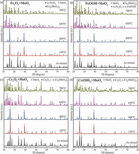 Figure 4. XRD patterns for powder mixtures exposed to air at different temperatures for 24 h. (a) Fe2O3 and MoO3; (b) FeOOH and MoO3; (c) Cr2O3 and MoO3; and (d) Cr(OH)3 and MoO3.