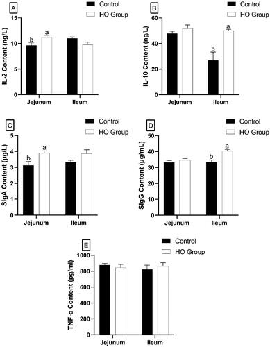 Figure 2. Effect of oregano essential oil on intestinal immune barrier [IL-2 (A), IL-10 (B), SIgA (C), SIgG (D), TNF-α (E)]. IL-2: interleukin-2; IL-10: interleukin-10; SIgA: secretory immunoglobulin A; SigG: secretory immunoglobulin G; TNF-α: tumour necrosis factor-α. a,bMeans with different superscripts are significantly different (p < 0.05).