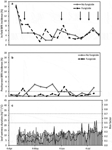 Figure 6. (a) In-field botrytis fruit rot (BFR) incidence and (b) Postharvest BFR incidence for weekly evaluations at field 12 in 2022. The horizontal dashed line indicates 2% incidence. (c) Leaf wetness duration (vertical bars) in continuous hours per day, average temperature during leaf wetness period (dashed line) and BFR risk factor (solid line). The two horizontal dashed lines indicate risk factors of 0.5 and 0.7, respectively.
