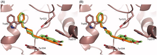 Figure 3. Superimposition of the crystal structure of the TcAChE-Donepezil complexCitation41 (carbon atoms colored in green) with the TcAChE-1 (A) and TcAChE-2 (B) complexes (carbon atoms colored in orange). Ligands and some of the active site key residues are shown as sticks with oxygen and nitrogen atoms colored red, and blue, respectively. Created using PyMOL.Citation57