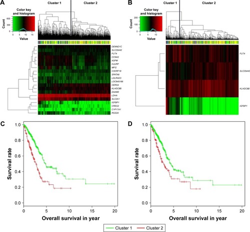 Figure 3 Clustering and Kaplan–Meier analysis in testing set. (A and B) The hierarchical clustering of samples in testing set based on the 20 sure independent screening (SIS)-resulted genes and four overlaps. Color bar at the top of the heatmap represents stages. (C and D) The Kaplan–Meier plot of different clusters obtained based on prognostic signature of 20 and four genes, respectively.