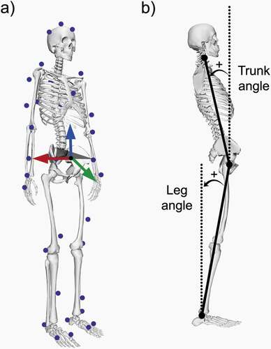 Figure 3. a) Motion analysis markerset (blue) and pelvis coordinate system (X axis in red, Y in green, and Z in blue). b) Trunk and leg angle definitions