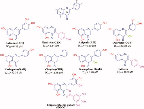 Figure 2. Flavonoids: general formula of the flavonoids selected in this review.