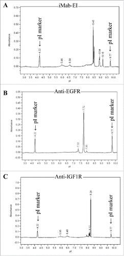 Figure 6. Isoelectric point (pI) of the iMab-EI and the 2 parental antibodies. (A) iMab-EI pI main peak is 8.43; (B) anti-EGFR antibody pI main peak is 7.72; (C) anti-IGF1R pI main peak is 8.24. pI marker peaks 4.22 and 9.77 are schematically shown.
