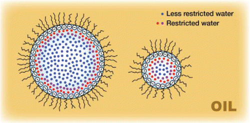 Figure 4. Inverted micelles formed in a CaS grease, illustrating the terms confined and less confined. The ratio between these two may give an indication of the micelle size. Reproduced with permission from Leckner (Citation8).