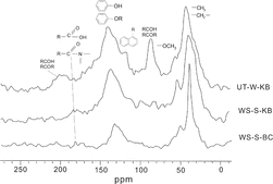 Figure 3 The typical CP/MAS 13C NMR spectra of KB and BC isolated from the TSP.