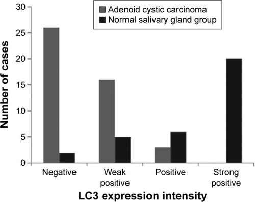 Figure 5 LC3 expressions in the ACC tissues and the normal glandular tissues.