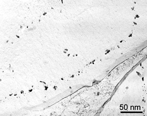 Figure 17. TEM micrograph showing the irregularly shaped particles on the prior austenite grain boundary in Steel V–Ti–N. Li et al. [Citation123].