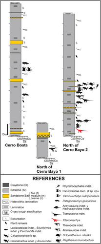 Figure 2. Geological columns of the La Colonia Formation, at Norte de Cerro Bayo, the area of the discovery of the holotype of Titanomachya gimenezi. Modified from Sterli et al. (Citation2022)