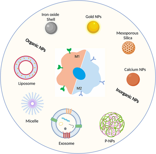 Figure 3 Overview of commonly used carrier types: classified as organic or inorganic nanoparticles. Created with BioRender.com.