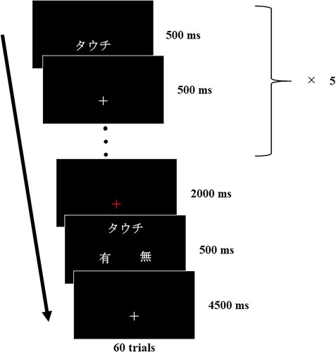 Figure 1. Verbal working memory task.