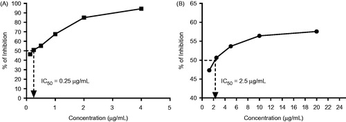 Figure 1. DPPH-free radical scavenging activity of (A) gallic acid (standard) and (B) turmeric extract.