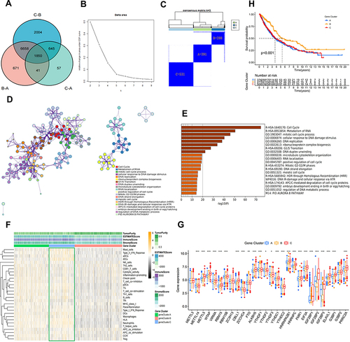 Figure 4 Identification of co-DEGs in three m6A modification patterns. (A) Venn diagram showing the co-DEGs in the three m6A modification patterns. (B and C) Results of unsupervised clustering analysis of co-DEGs. (D) Metascape enrichment networks visualize functionally similar clusters and reveal intra- and inter-cluster correlations in co-DEGs. Each color corresponds to a function. (E) The X-axis represents the number of genes enriched, the darker the band the more significant the functional enrichment. (F) Heatmap of three m6A gene signature subgroups enriched in ESTIMATE score, immune cells and function. (G) Expression of 28 regulators in three m6A gene signature subgroups. (H) KM survival differential analysis of three m6A gene signature subgroups (p value<0.05). *p value < 0.05; **p value < 0.01; ***p value < 0.001.