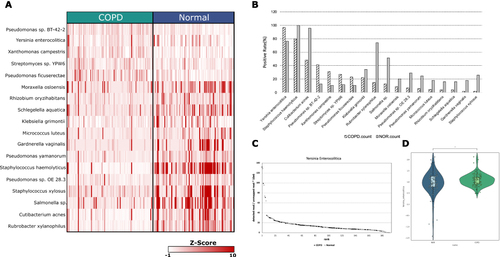 Figure 3 Comparison of overall metagenomic profile between normal and COPD (A). Top 18 species that differ between normal and COPD by z-score. (B) Positive rate detected in Kraken2 Standard database. The rank was sorted by the number of differences between COPD and the normal groups. (C)The percentage of detected reads in each sample. It was sorted by the amount of detected percentage and by the color description of the group. Black: COPD, white: normal (D) Violin plot of Yersinia enterocolitica z-score by normal and COPD (*1.00e-02 < p ≤ 5.00e-02).