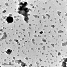 FIG. 12 TEM image of the particles sampled with the dilution probe at 1300°C.