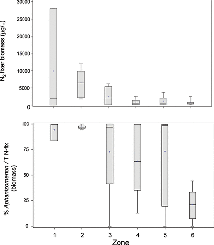 Figure 5. Left: biomass of the two dominant N2-fixing cyanobacteria taxa (Dolichospermum and Aphanizomenon) and percent contribution of Aphanizomenon to N2-fixing biomass averaged from sites within the six zones in LOW.