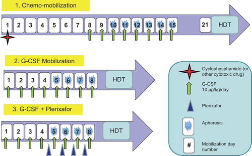 Figure 1. Methods of HPC mobilization for autologous transplantation.