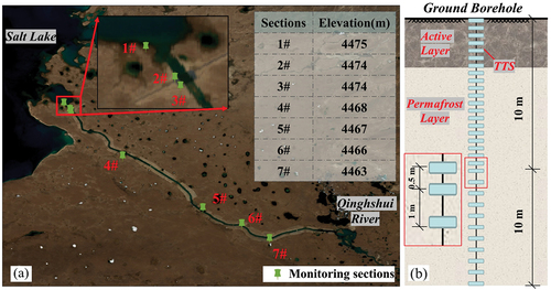 Figure 4. In-situ ground temperature monitoring (a) arrangement of monitoring sections coded from 1# to 7# and the elevation (b) placement of temperature sensors at different depths.