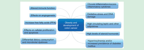 Figure 1. Postulated mechanisms linking obesity & development of colon cancer.