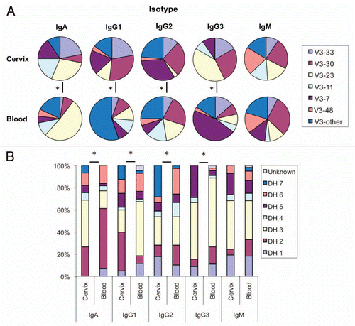 Figure 1 Nature of the cervical environment shapes local VH gene expression. (A) VH3 gene segment frequencies from B cells of each isotype isolated from the cervix or peripheral blood. V3-other is defined as any VH3 locus other than those defined above. (B) DH gene segment frequencies from B cells of each isotype isolated from the cervix or peripheral blood. Significant differences (*) in both VH and DH gene usage were observed between each of the isotype-matched samples with the notable exception of IgM using χ2 tests (p ≤ 0.05).