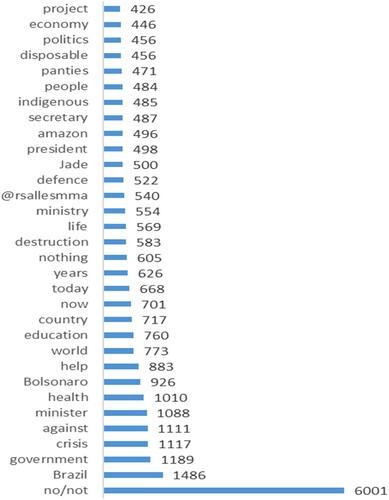 Figure 2. The 20 most frequent words from Brazil, excluding prepositions, adverbs, linguistic tics and programmed keywords.