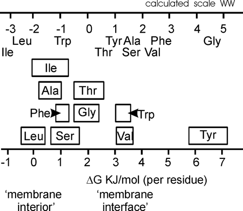 Figure 8.  Summary of the relative contributions of the amino acid X to ΔG of transfer from in-plane to transmembrane alignments (cf. text for details). The values are scaled to take into account the influence of one X amino acid side chain within the peptide. The LAH4L4 peptide is taken as a reference. The boxes indicate the experimental errors obtained during the line fit analyis of ΔG/RT (Table I). The top scale indicates values obtained when calculating the difference ΔG(aqueous→octanol) - ΔG(aqueous→membraneinterface) as published in Citation[6].