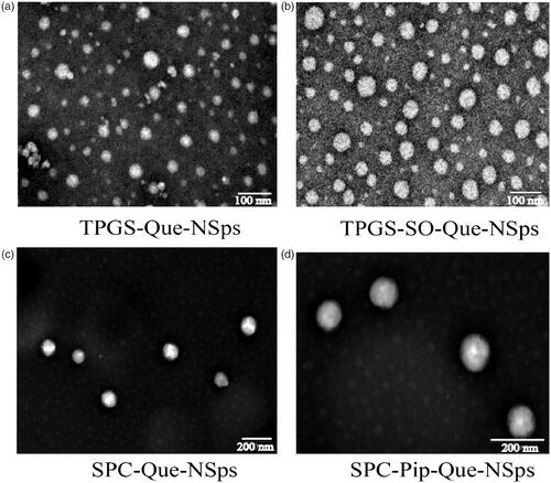 Figure 2. TEM image of TPGS-Que-NSps (a), TPGS-SO-Que-NSps (b), SPC-Que-NSps (c), and SPC-Pip-Que-NSps (d).