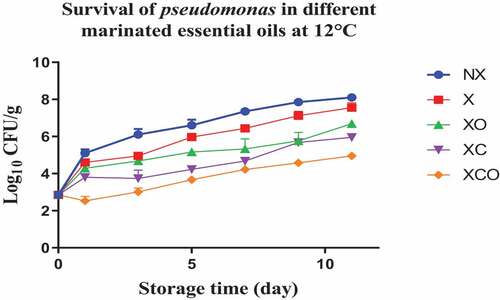 Figure 4. Population increase of pseudomonas (log10 CFU/g ± SEM) in different marinated essential oils samples after storage for 0, 1, 3, 5, 7, 9, and 11 days at 12°C. NX-Non marinated, X- Marinated, XO- Marinated +Oregano oil, XC- Marinated +Citrox, XCO- Marinated + Citrox+ Oregano oil.