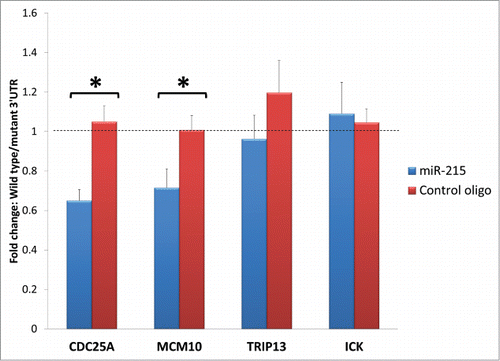 Figure 6. Bar charts represent fold change difference in luciferase activity when HEK293T cells are transfected with wild type 3′ UTR or mutant 3′ UTR. Wild type Cdc25A and Mcm10 show a marked reduction in luciferase activity compared to their mutant control (illustrated as fold change with blue bars) but this reduction is abolished when miR-215 mimic is substituted for random oligonucleotide control (illustrated as fold change with red bars), highlighting specificity of miR-215 to binding sites on Cdc25A and Mcm10. No significant changes were observed for Trip13 and Ick. Cdc25A: cell division cycle 25A, Mcm10: minichromosome maintenance complex component 10, Trip13: thyroid hormone receptor interactor 13, Ick: intestinal cell (MAK-like) kinase.