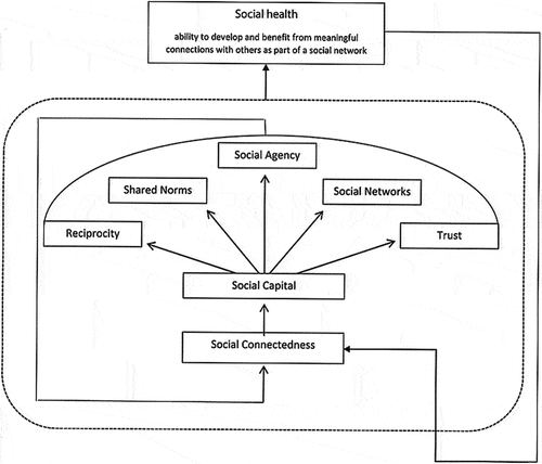 Conceptual map of social health, social connectedness, social capital and related concepts.