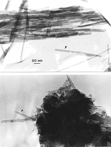 Figure 1 TEM images comparing chrysotile asbestos aggregate (a) with a MWCNT aggregate collected above a natural gas kitchen burner (b). The arrows in (a) and (b) illustrate the essentially identical nanotube structure and dimensions.
