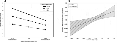 Figure 1. The interaction between morningness-eveningness and conscientiousness in predicting depressive symptoms (panel A) and Johnson-Neyman regions representing the threshold for significance of the effect of the focal predictor (morningness-eveningness) on the outcome variable (depressive symptoms) for different levels of moderator (conscientiousness) (panel B).