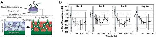 Figure 9 (A) Schematic diagram of developed device and the cross-section of membrane. (B) Blood glucose levels following repeated administration under the same irradiance (gray box; 570 mW/cm2; 30 min) in four stages within 14d (n = 3). Reproduced from Timko BP, Arruebo M, Shankarappa SA et al Near-infrared-actuated devices for remotely controlled drug delivery. Proc Natl Acad Sci USA. 2014;111(4):1349–1354. Copyright (2014) National Academy of Sciences.Citation130