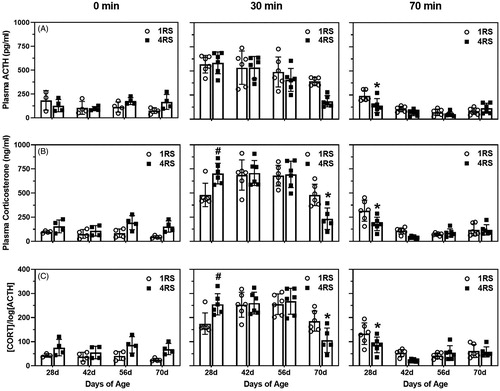 Figure 1. Mean (± SEM) plasma ACTH (pg/ml; A top row), corticosterone (ng/ml; B middle row), and corticosterone by log ACTH levels ([CORT]/log[ACTH]; C bottom rows) in 28d, 42d, 56d, and 70d male rats exposed to a single 30 min session of restraint stress (1RS; open circles) or a single 30 min session of restraint stress on four consecutive days (4RS, closed squares) before (0 min), immediately after termination of a 30 min session of restraint stress (30 min), or 40 min after termination of a 30 min session of restraint stress (70 min). Asterisks indicate that 4RS is significantly less than 1RS at that age and “#” indicates that 4RS is significantly greater than 1RS at that age. Note that for ease of visualization, significant main effects of age or stress condition are not indicated.