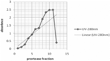 Figure 2. Elution profile of alkaline protease of S. griseorubens E44G via Sephadex G-100 column chromatography.
