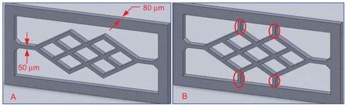 Figure 1 Microvessel scaffold design.