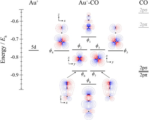 Figure 2. Molecular orbital diagram for Au+–CO. See text for details. The contours are the same for all molecular orbitals shown. For CO, the calculated orbital energies of the 2pσ and 2pπ orbitals in the absence of the coulombic field arising from the metal atom are indicated in grey, while the solid line indicates their energy in the presence of the field. The position of the gold nucleus is indicated by a black dot, and that of the carbon and oxygen nuclei by grey dots, with the carbon atom the one closest to the gold. Orbitals lie in the yz plane unless indicated by the presence of axes, where these axes are located on the Au+. In the latter cases, one or more of the CO atoms may not be visible.