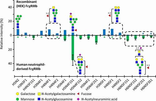 Figure 1. Asn162 glycosylation profiles of FcɣRIIIb, comparing recombinant (HEK) and human neutrophil-derived receptor (the latter extracted from Wojcik et al.Citation23). The data was normalized to the sum of all quantified compositions. For recombinant (HEK) FcɣRIIIb, these are listed in Table S1. Glycan structures of selected compositions are suggested based on MS/MS experiments and previous findings on HEK cell-derived or human-derived neutrophil FcɣRIII glycosylation.Citation23,Citation27 Asterisks (*) indicate that a glycopeptide was not detected