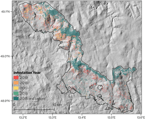 Figure 14. Final infestation map for the Bavarian Forest National Park. Colors represent the detection date based on the Sentinel-2 configuration using the CRE and the Bayesian approach with a probability threshold of 0.98. The black box indicates the subset illustrated in Figure 15.