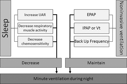 Figure 1. Impact of sleep and nocturnal noninvasive ventilation on hypoventilation in COPD patients. UAR, upper airway resistance; IPAP, inspiratory positive pressure; EPAP, expiratory positive pressure; Vt, tidal volume.