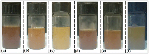 Figure 2. Pictographs of the hydrogels. (a) T1, (b) T2, (c) T3, (d) C1, (e) C2, and (f) C3.